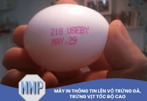 Máy in thông tin lên vỏ trứng gà, trứng vịt tốc độ cao