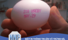 Máy in thông tin lên vỏ trứng gà, trứng vịt tốc độ cao