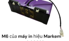 M6 của máy in hiệu MARKEM model 9029