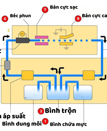 CÔNG TY TNHH NGÂN NHÂN PHÁT